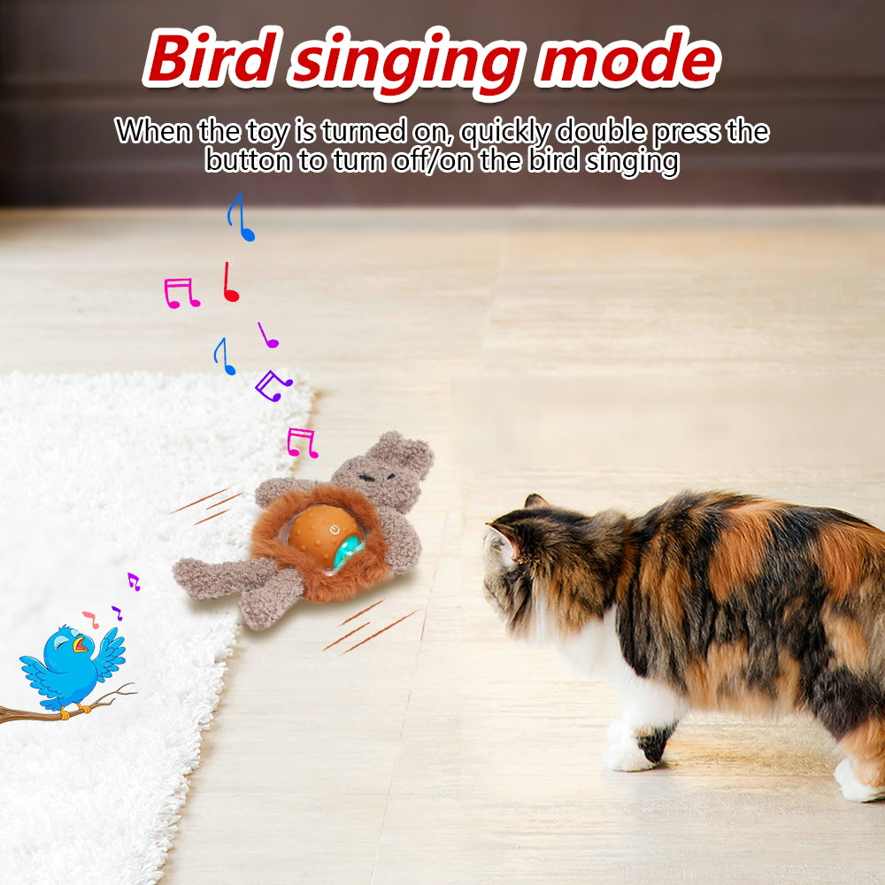 Interactive Indoor Cat Toys: Rabbit Cover Fast - Moving Ball, Bird Chirping Toy & Automatic Kitten Toys