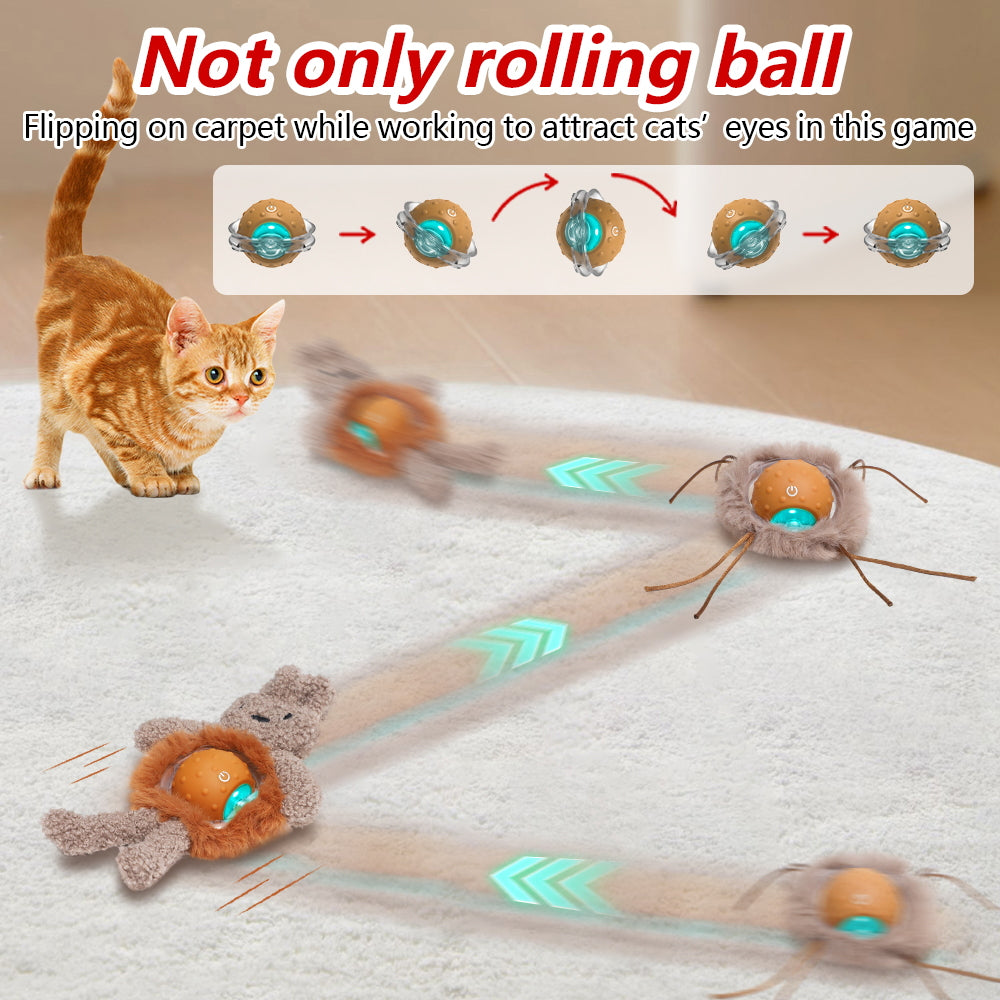 Interactive Indoor Cat Toys: Rabbit Cover Fast - Moving Ball, Bird Chirping Toy & Automatic Kitten Toys