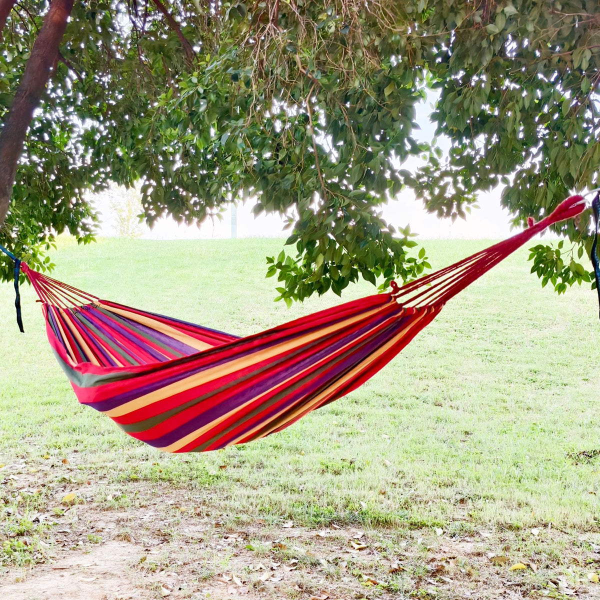 1pc Outdoor Canvas Hammock Camping Swing with Tree Ropes, Heavy Duty for Garden Patio Backyard