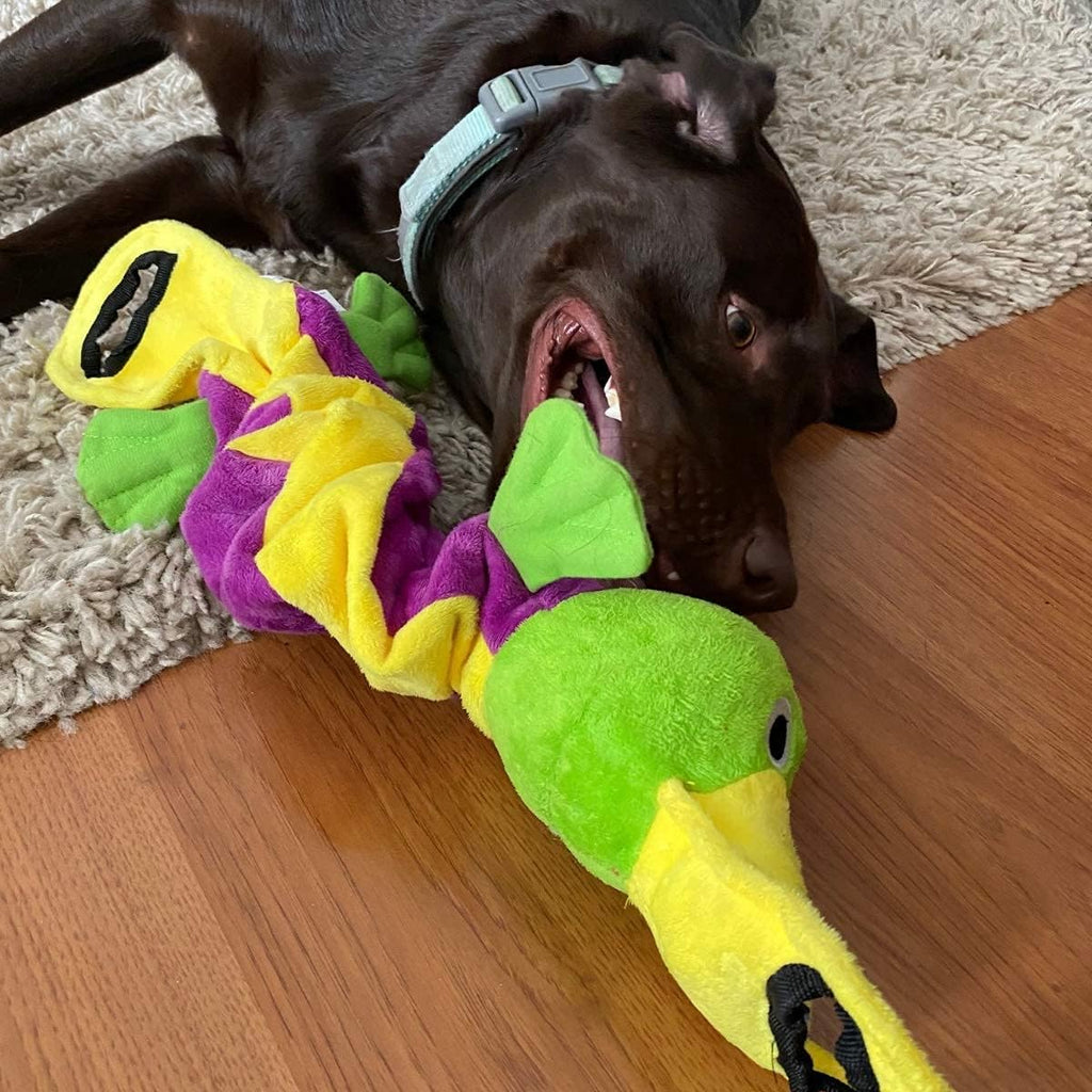 SmartPetLove Tender-Tuffs Platypus Tug Plush Dog Toy - Squeaky and Interactive Tug-of-War Dog Toy for Small to Large Dogs