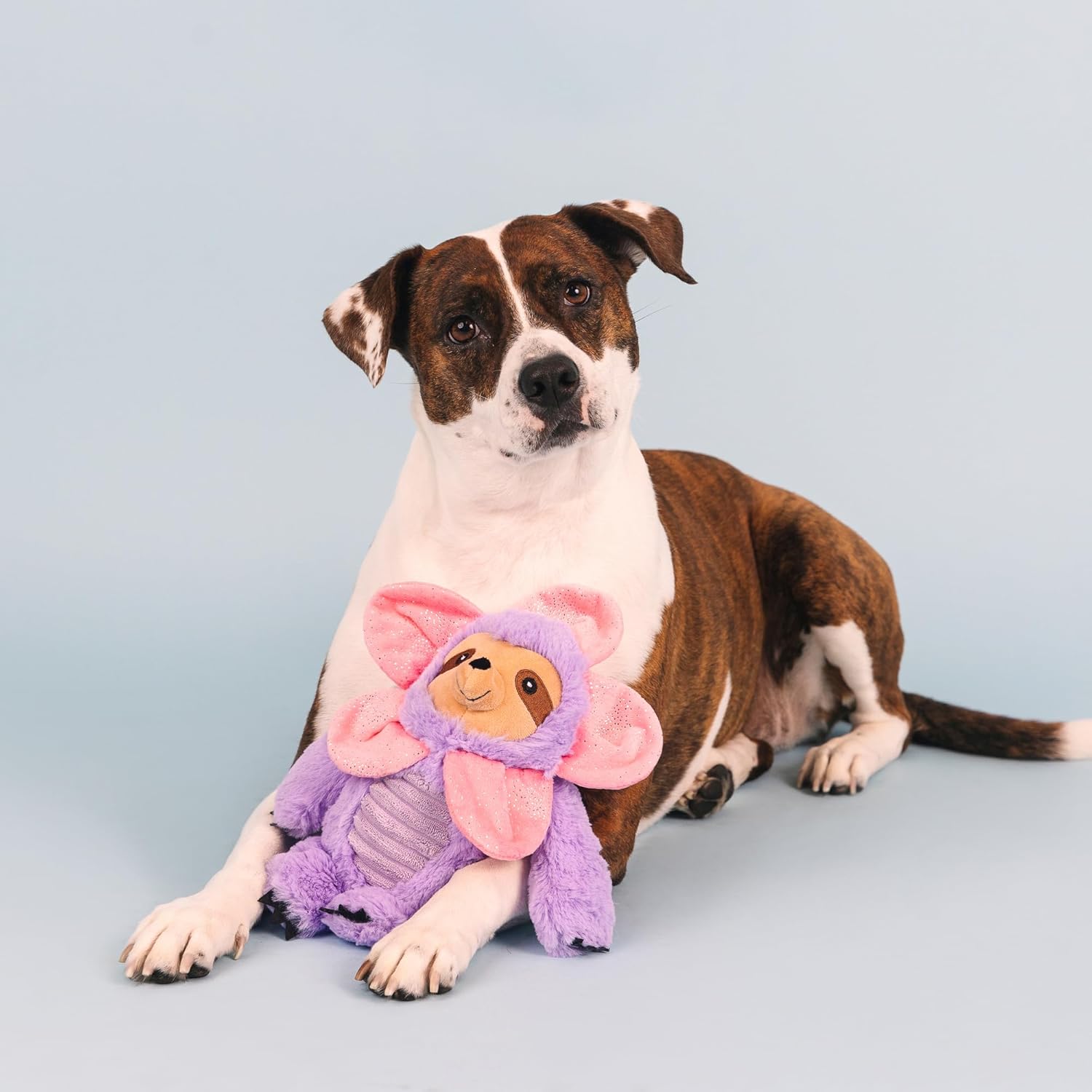 Fringe Studio Plush Dog Toy, I'll Grow On You, Pet Shop Collection (314199)