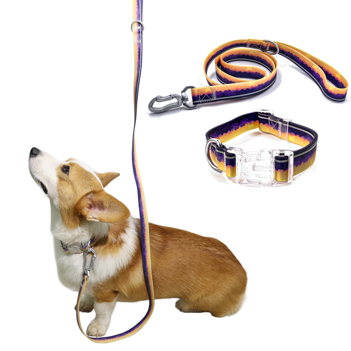 Bite Resistant Dog Collar & Leash Set, Duty Nylon Anti-Chew Pet Walking Lead with Quick Release Buckle for Small Medium Large Dogs Outdoor Walking