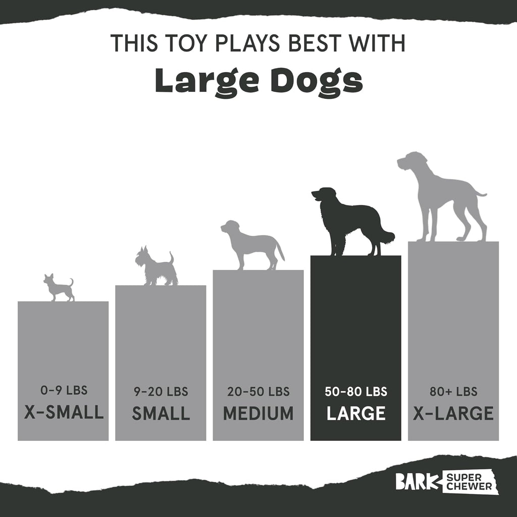 Barkbox Grey Bear Hugger Super Chewer 2-in-1 Plush Exterior Hard Core Plush Toy, Large Breeds