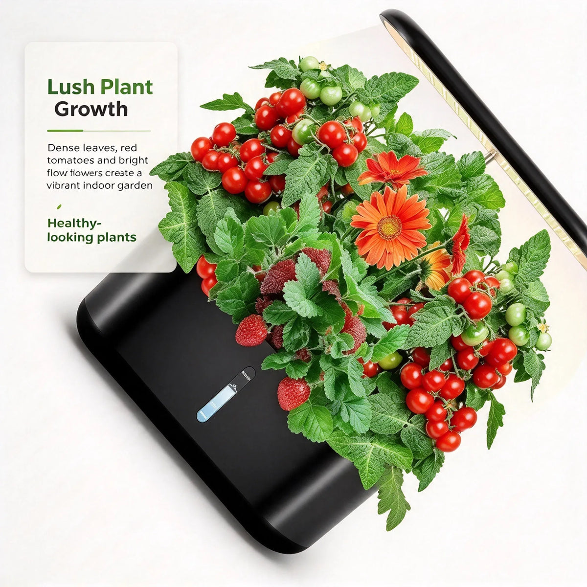 Indoor Hydroponic Garden System 10 Pods, 3.6L Water Tank, LED Grow Light, Pump & Auto Timer for Herbs, Vegetables, Flowers