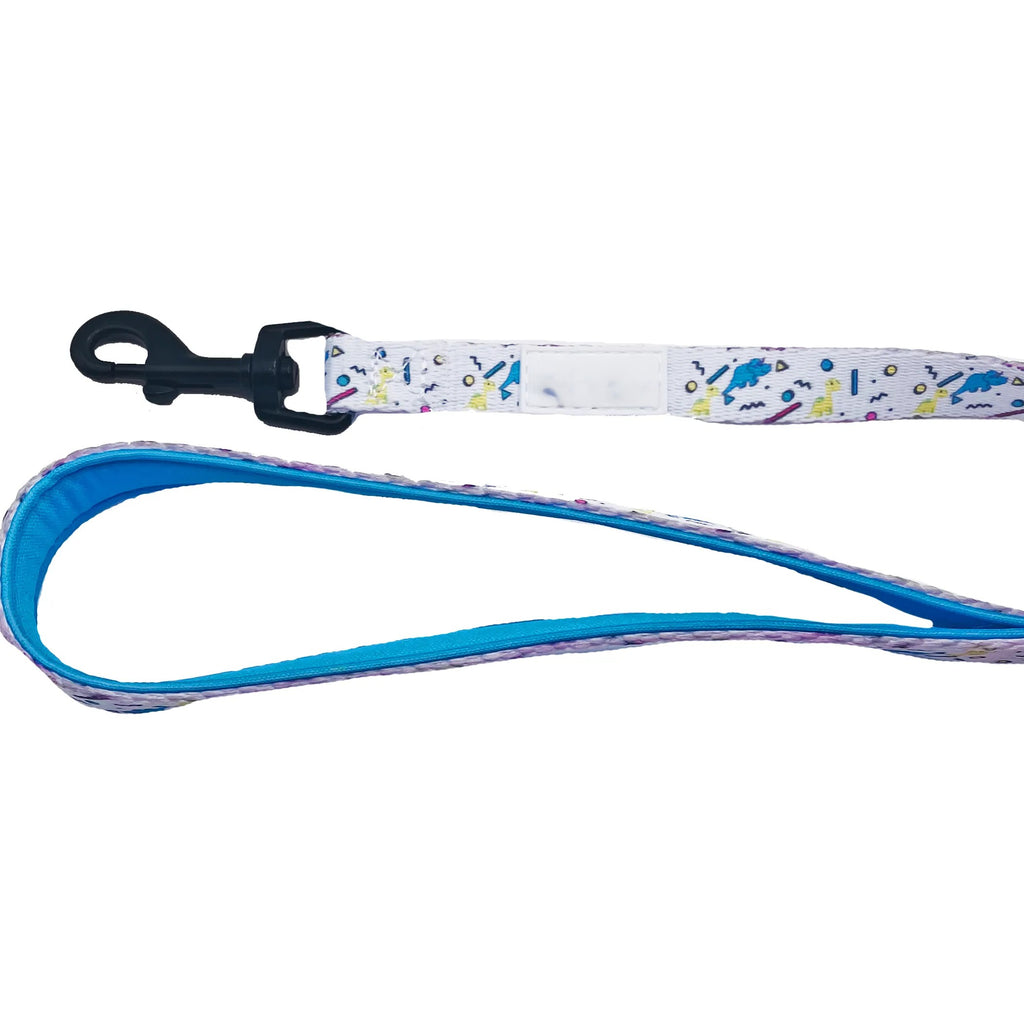 White Small Dog Leash, Solid White Nylon Pet Lead, Padded Loop Handle, 5ft 1/2 Inch Width for Small Dogs