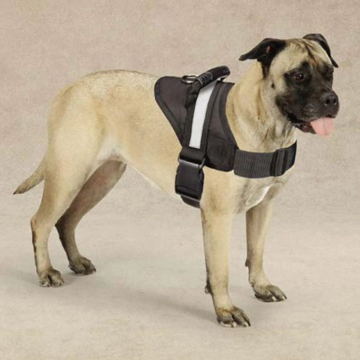Dog Harness, Adjustable 26-36 In Chest, Comfort Outdoor Walking Harness for Medium Large Dogs