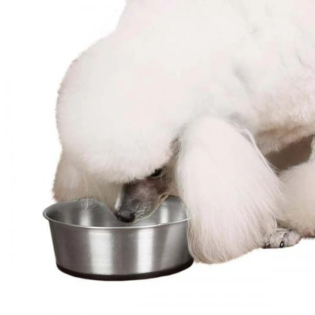 ProSelect 88oz Stainless Steel Dog Bowl with Non-Slip Rubber Base, Rust Resistant Large Pet Food Water Dish for Extra Large Dogs