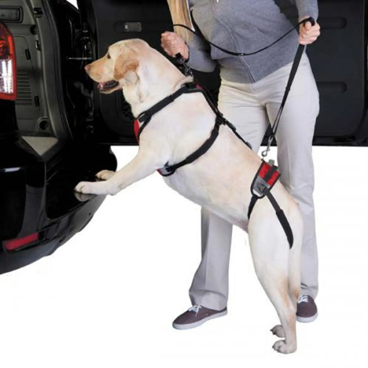 Total Pet Health Lift & Go Lead TP6964 42in, Dog Mobility Support Lifting Lead, Assist Senior Injured Dogs for Stairs & Car