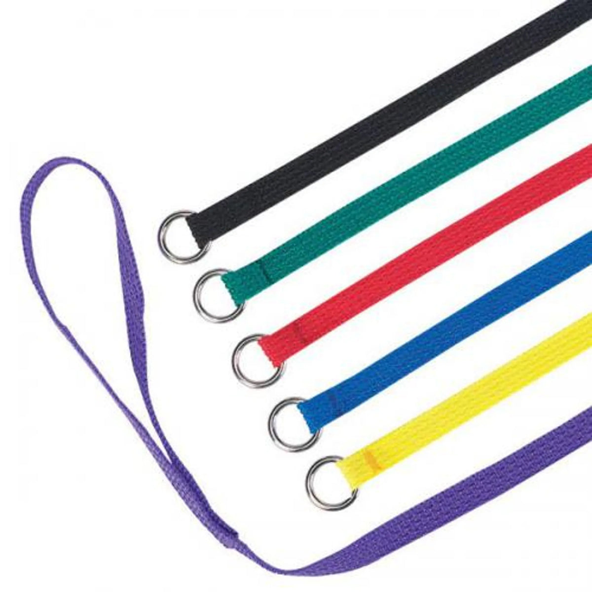Kennel Dog Leads 6 Ft 6-Pack , Durable Polyester Kennel Leashes for Pet Shelter, Vet & Daily Use