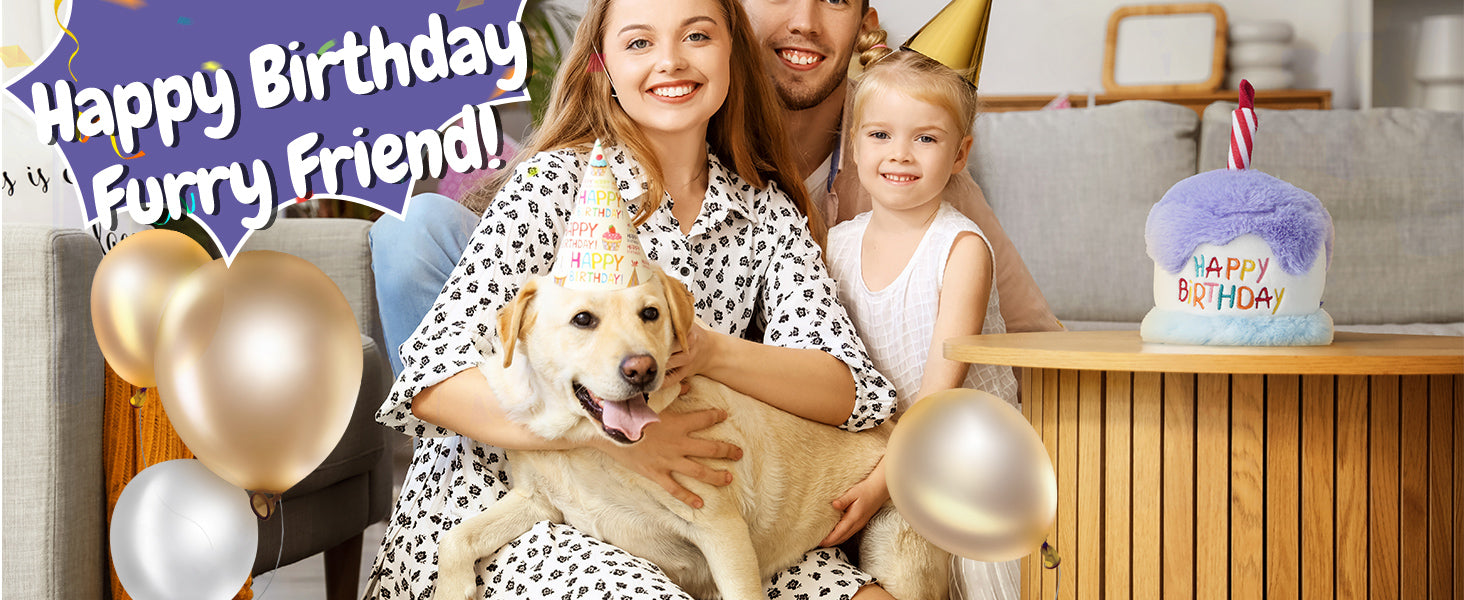 Dog Happy Birthday Cake Toy with Squeaker and Crinkle, Stuffed Plush Puppy Present for Birthday Party, Dog Toy for Small Medium