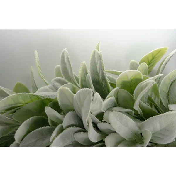 17.7 Inch Artificial Lamb's Ear Wreath with Burlap Bow, Faux Greenery Wreath for Front Door, All Season Farmhouse Wall Porch Home Decor