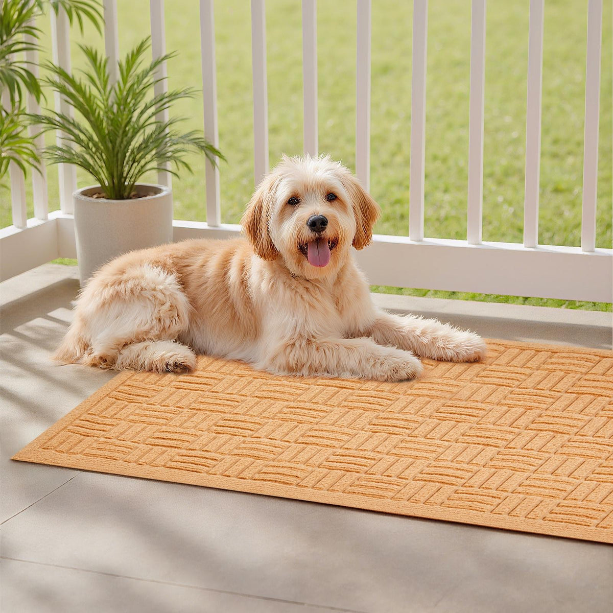 Beige Front Door Mat, 29.53x17.72", Non-Slip Rubber Backing, Dirt-Resistant & Absorbent, Easy-Clean Low-Profile Doormat for Entryway, Patio, Porch
