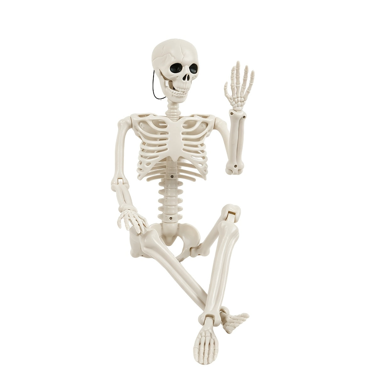 36" Halloween Posable Skeleton, Full Body Skeleton with Movable Joints, Bonus 4 Spiders & Stretch Web for Haunted House Yard Porch Outdoor Party