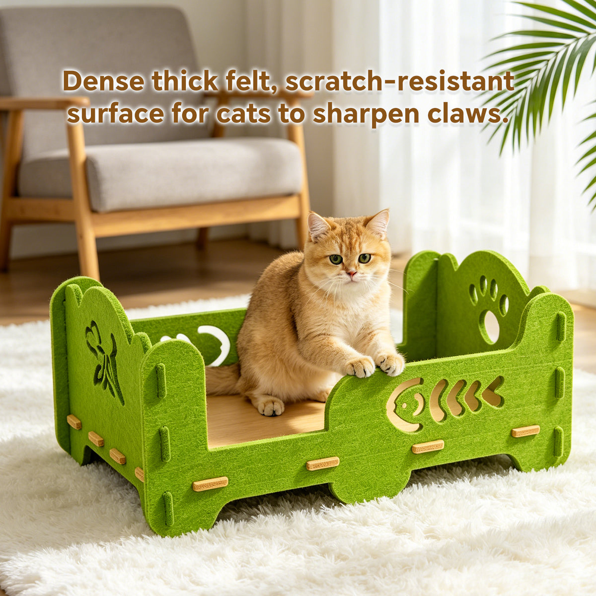Single-Tier Felt Cat Bed, Sturdy Breathable Indoor Pet Bed with Raised Sides, 20.47" x 14.17" x 9.84", Green