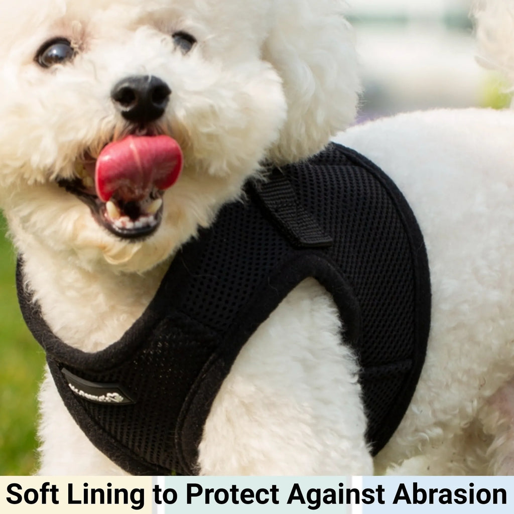 Black PupTrek Soft Mesh Step-In Pet Harness Vest, No-Choke Adjustable Walking Harness for Small Dogs & Cats, Lightweight Comfort Vest