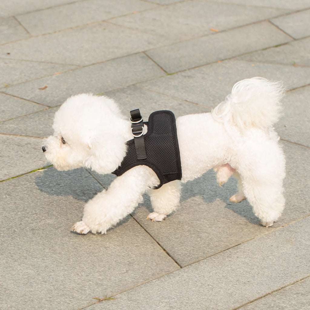 Black PupTrek Soft Mesh Step-In Pet Harness Vest, No-Choke Vest Harness for Small Dogs & Cats, Adjustable Lightweight Walking Harness