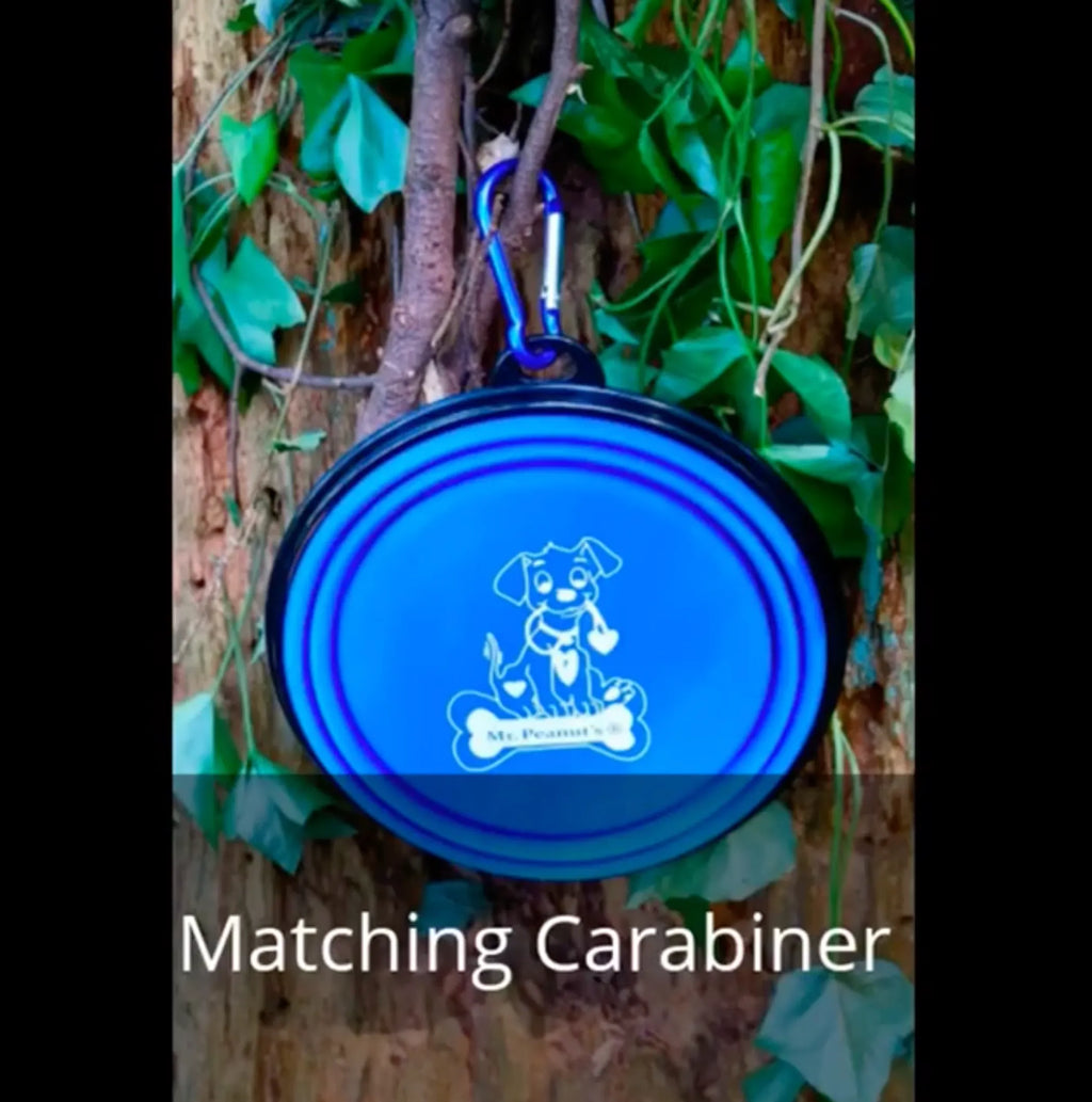 Blue Silicone Collapsible Pet Travel Bowl, Portable Foldable Dog Cat Feeding Water Bowl for Outdoor Camping Walking