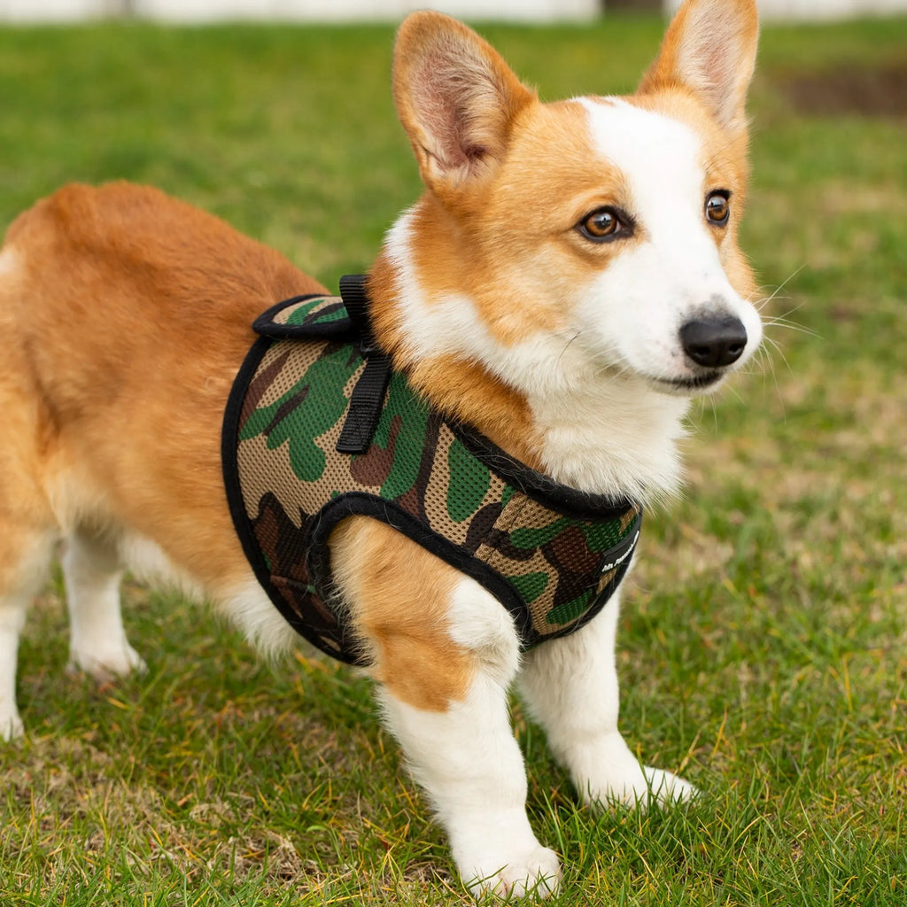 Camo  PupTrek Soft Mesh Step-In Pet Harness Vest, No-Choke Adjustable Walking Harness for Small Dogs & Cats, Lightweight Comfort Vest