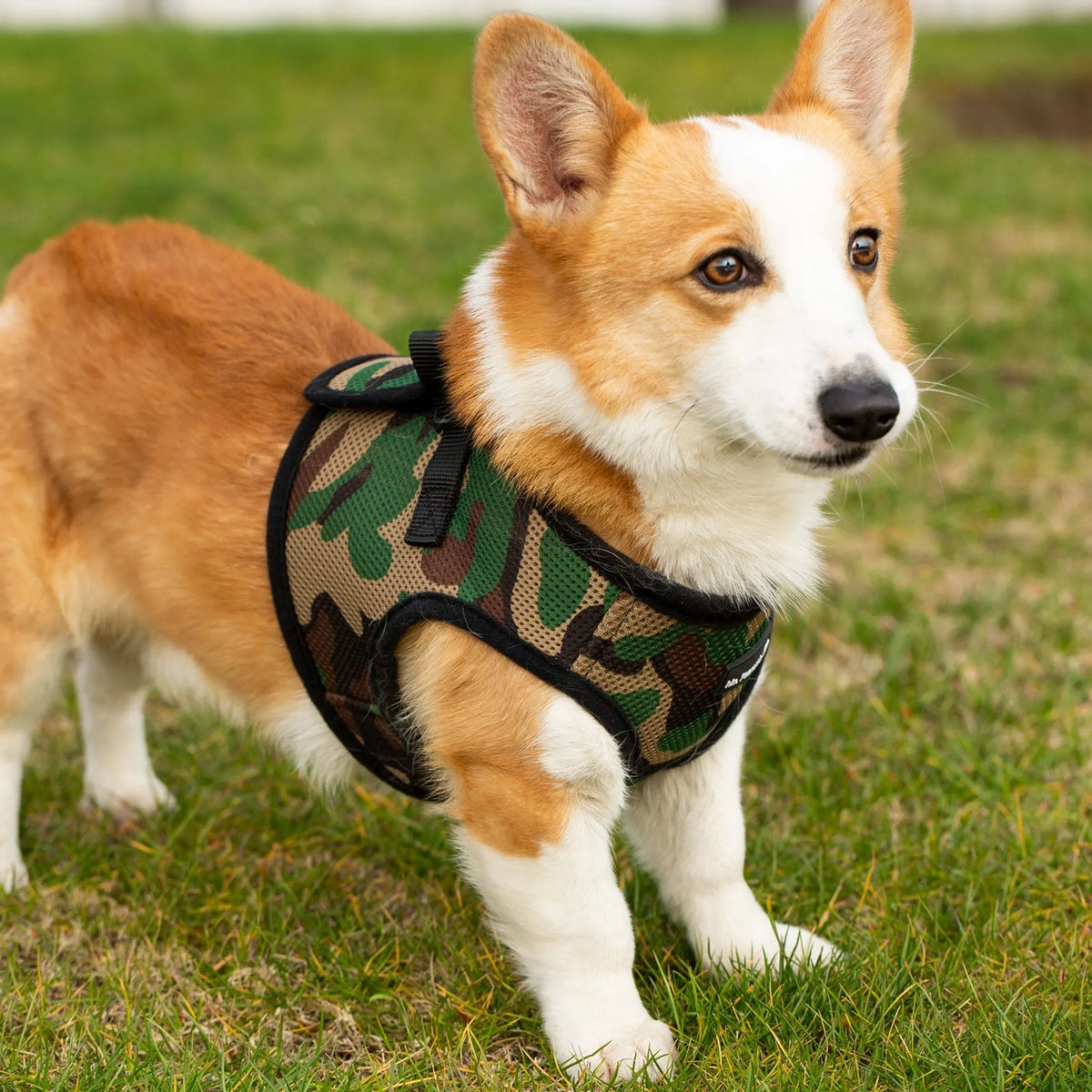 Camo  PupTrek Soft Mesh Step-In Pet Harness Vest, No-Choke Adjustable Walking Harness for Small Dogs & Cats, Lightweight Comfort Vest