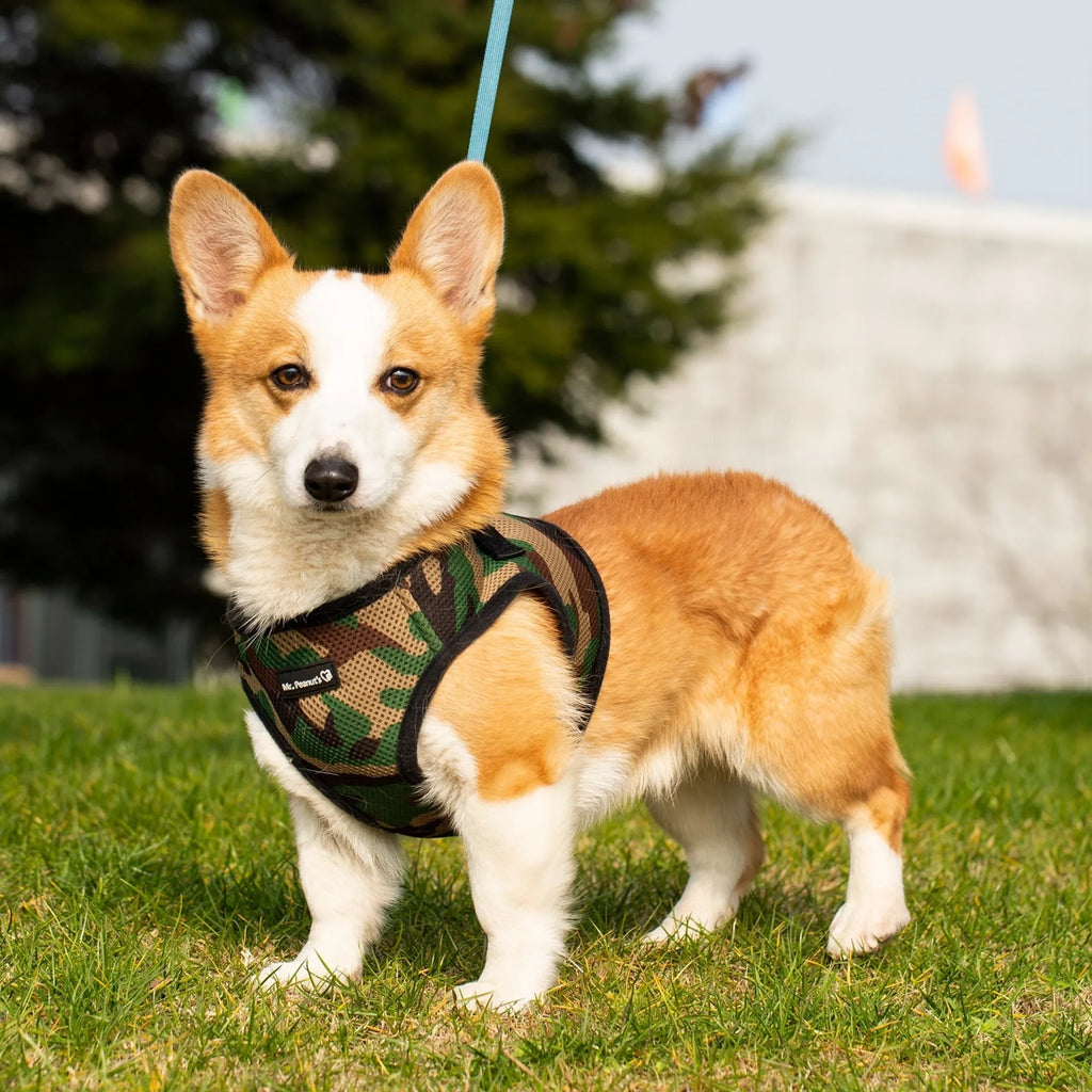 Camo  PupTrek Soft Mesh Step-In Pet Harness Vest, No-Choke Adjustable Walking Harness for Small Dogs & Cats, Lightweight Comfort Vest
