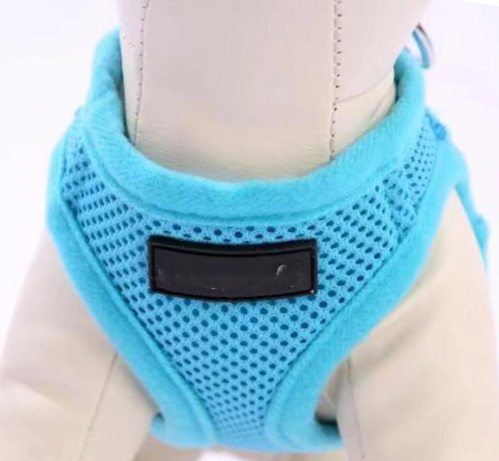Blue  PupTrek Soft Mesh Step-In Pet Harness Vest, No-Choke Adjustable Walking Harness for Small Dogs & Cats, Lightweight Comfort Vest