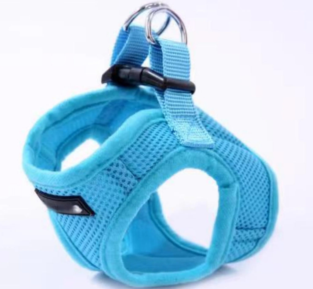 Blue  PupTrek Soft Mesh Step-In Pet Harness Vest, No-Choke Adjustable Walking Harness for Small Dogs & Cats, Lightweight Comfort Vest