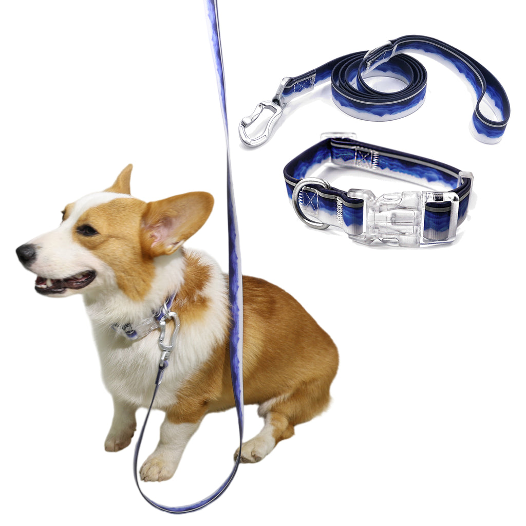 Bite Resistant Dog Collar & Leash Set, Duty Nylon Anti-Chew Pet Walking Lead with Quick Release Buckle for Small Medium Large Dogs Outdoor Walking