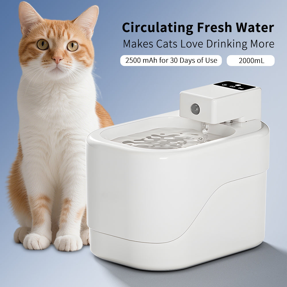 Automatic Cat Water Fountain – 2000mL Circulating Fresh Water Dispenser with Motion Sensor