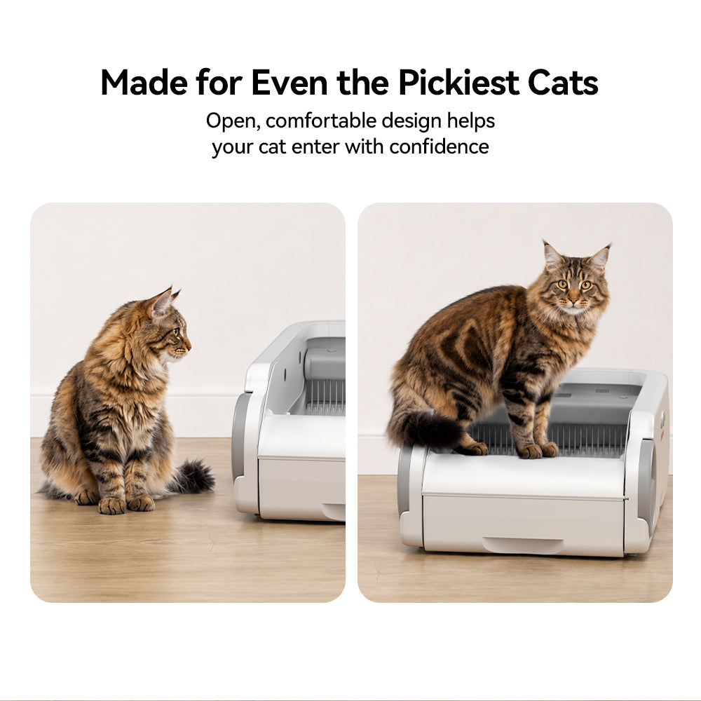 Aeelleea Blue Stainless Steel Version  Smart Self-Cleaning Cat Litter Box App Control Low-Entry Quiet Multi-Cat