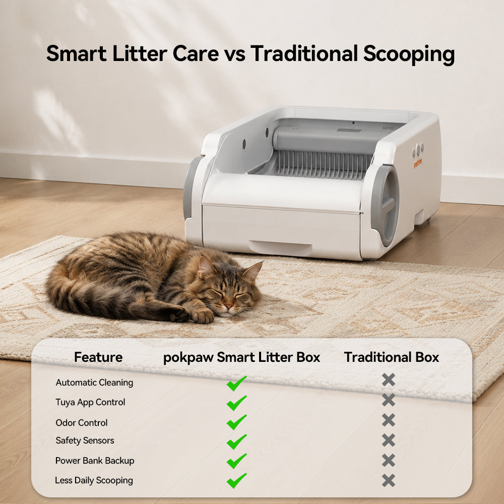 Aeelleea Blue Stainless Steel Version  Smart Self-Cleaning Cat Litter Box App Control Low-Entry Quiet Multi-Cat