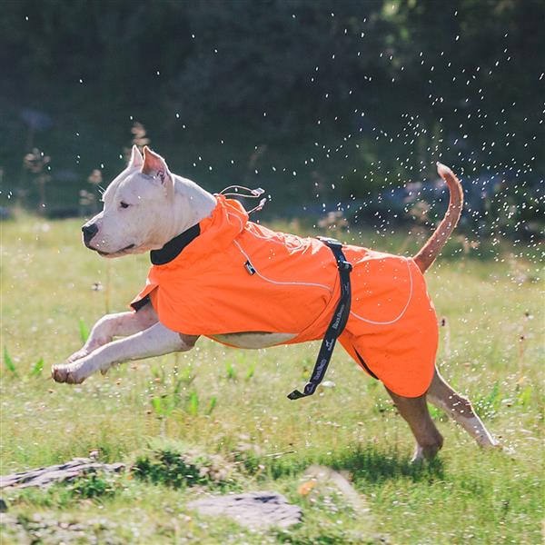 Dog Coats Small Waterproof,Warm Outfit Clothes Dog Jackets&nbsp Dog Sport Vest