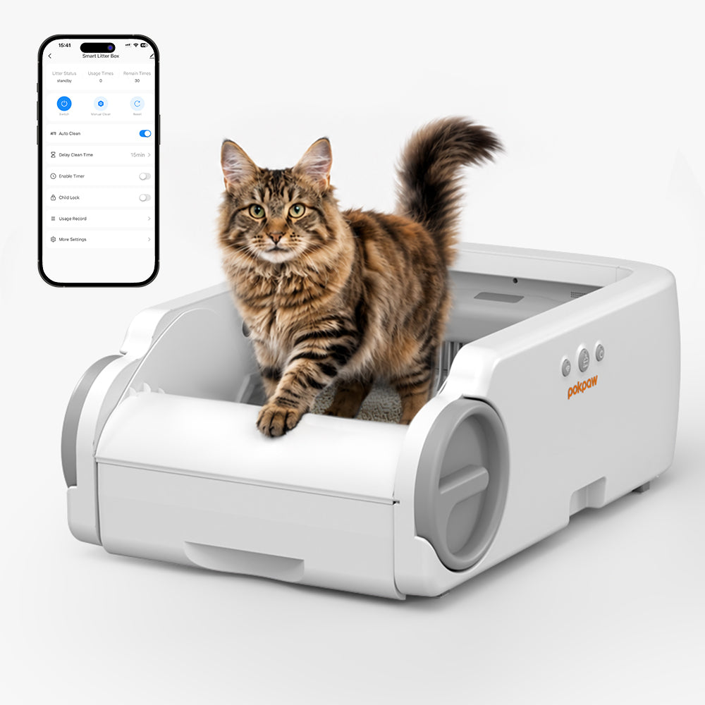 Aeelleea Blue Stainless Steel Version  Smart Self-Cleaning Cat Litter Box App Control Low-Entry Quiet Multi-Cat