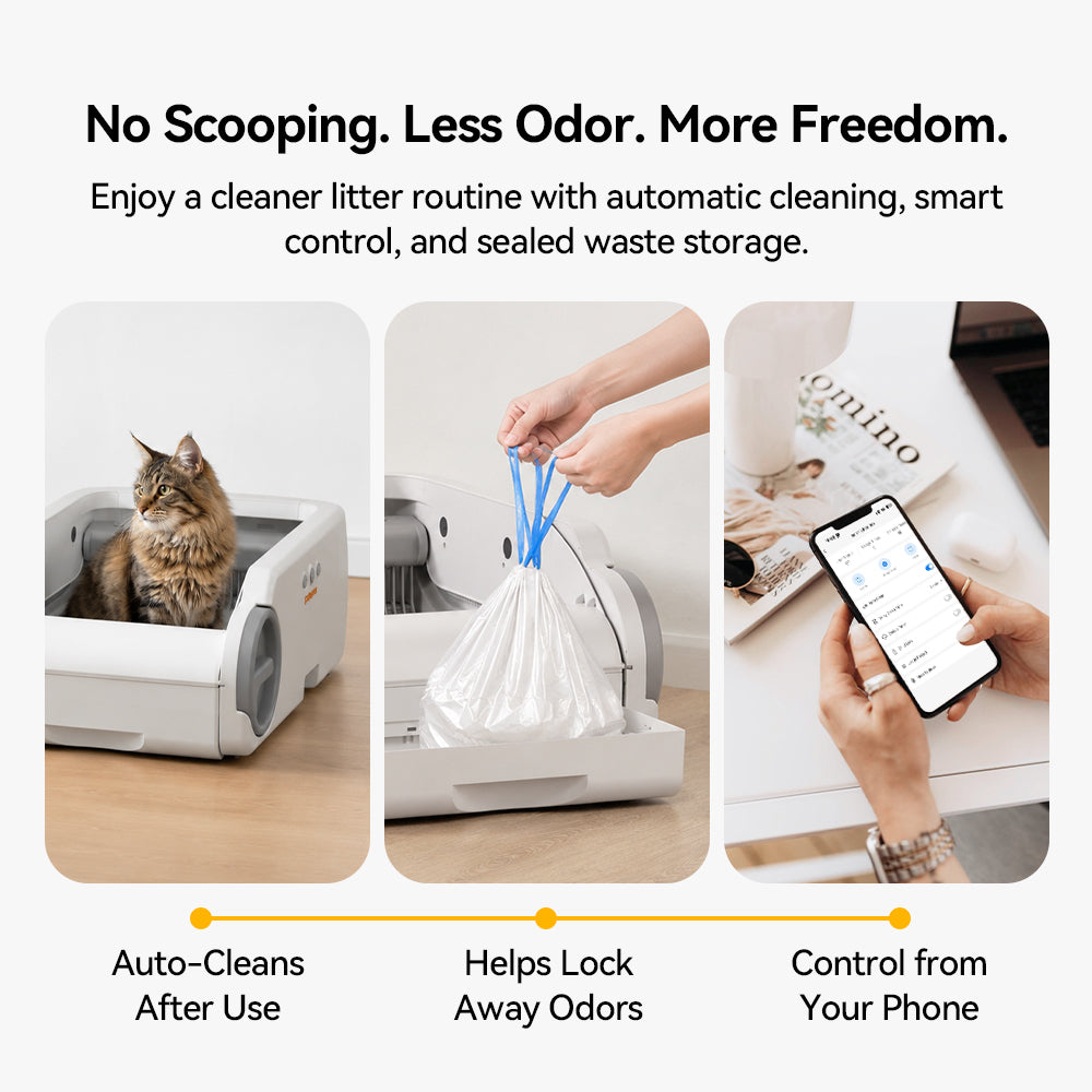 Aeelleea Smart Self-Cleaning Cat Litter Box App Control Low-Entry Quiet Multi-Cat Gray