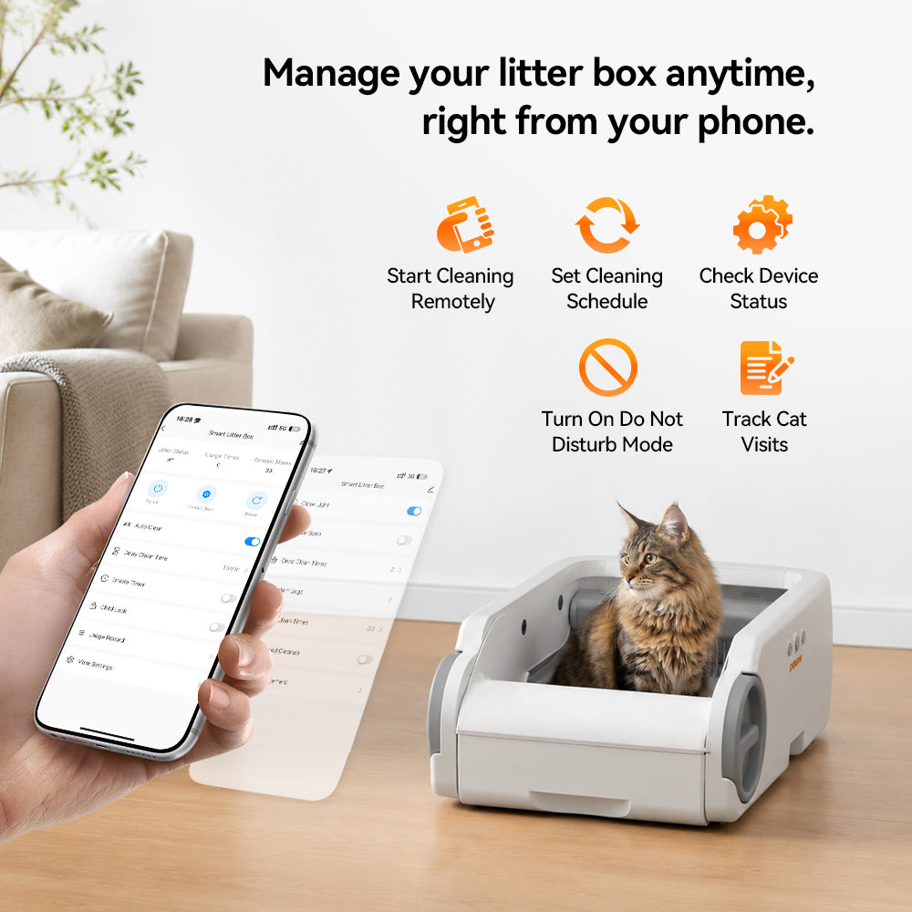 Aeelleea Smart Self-Cleaning Cat Litter Box App Control Low-Entry Quiet Multi-Cat Gray