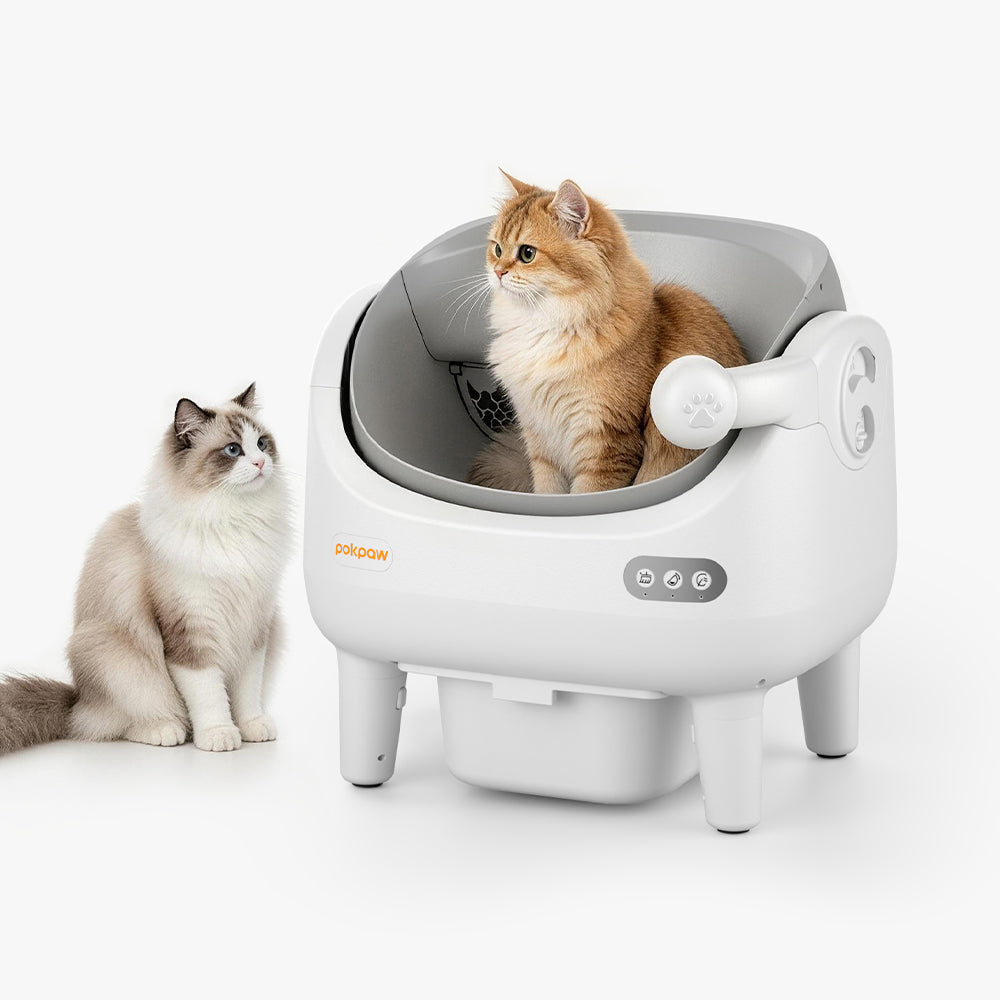Aeelleea Smart Self-Cleaning Cat Litter Box Open-Top Deodorizing App Control Multi-Cat