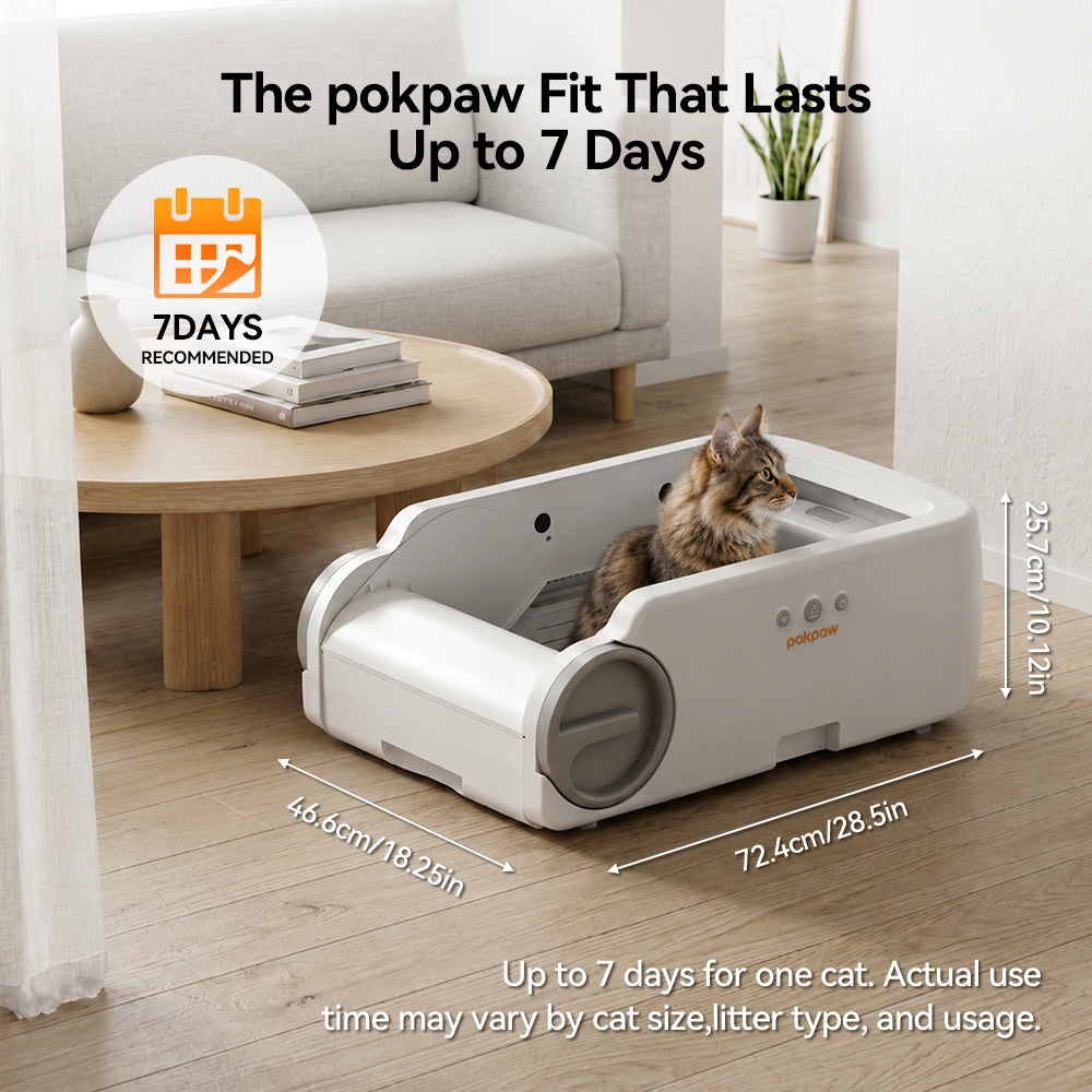 Aeelleea Smart Self-Cleaning Cat Litter Box App Control Low-Entry Quiet Multi-Cat Gray