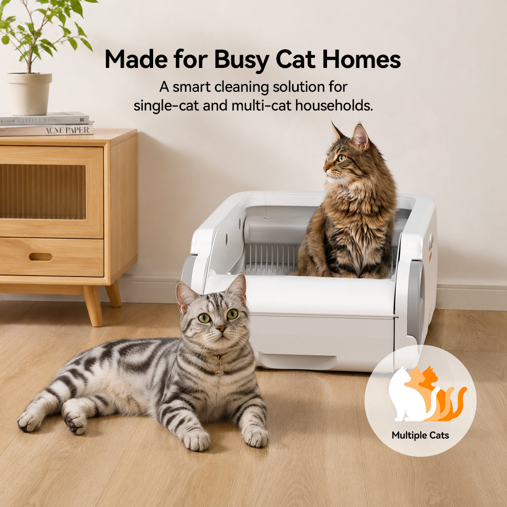Aeelleea Blue Stainless Steel Version  Smart Self-Cleaning Cat Litter Box App Control Low-Entry Quiet Multi-Cat