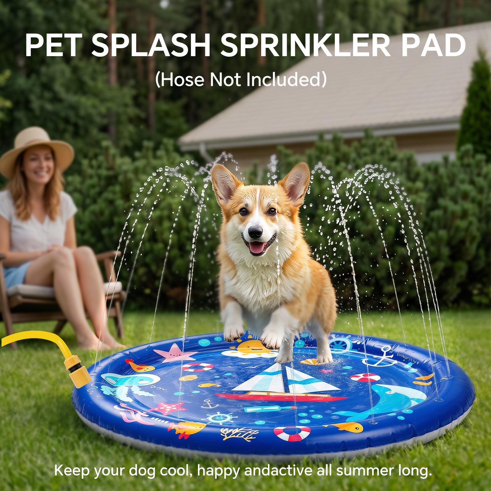 Pet Water Mat