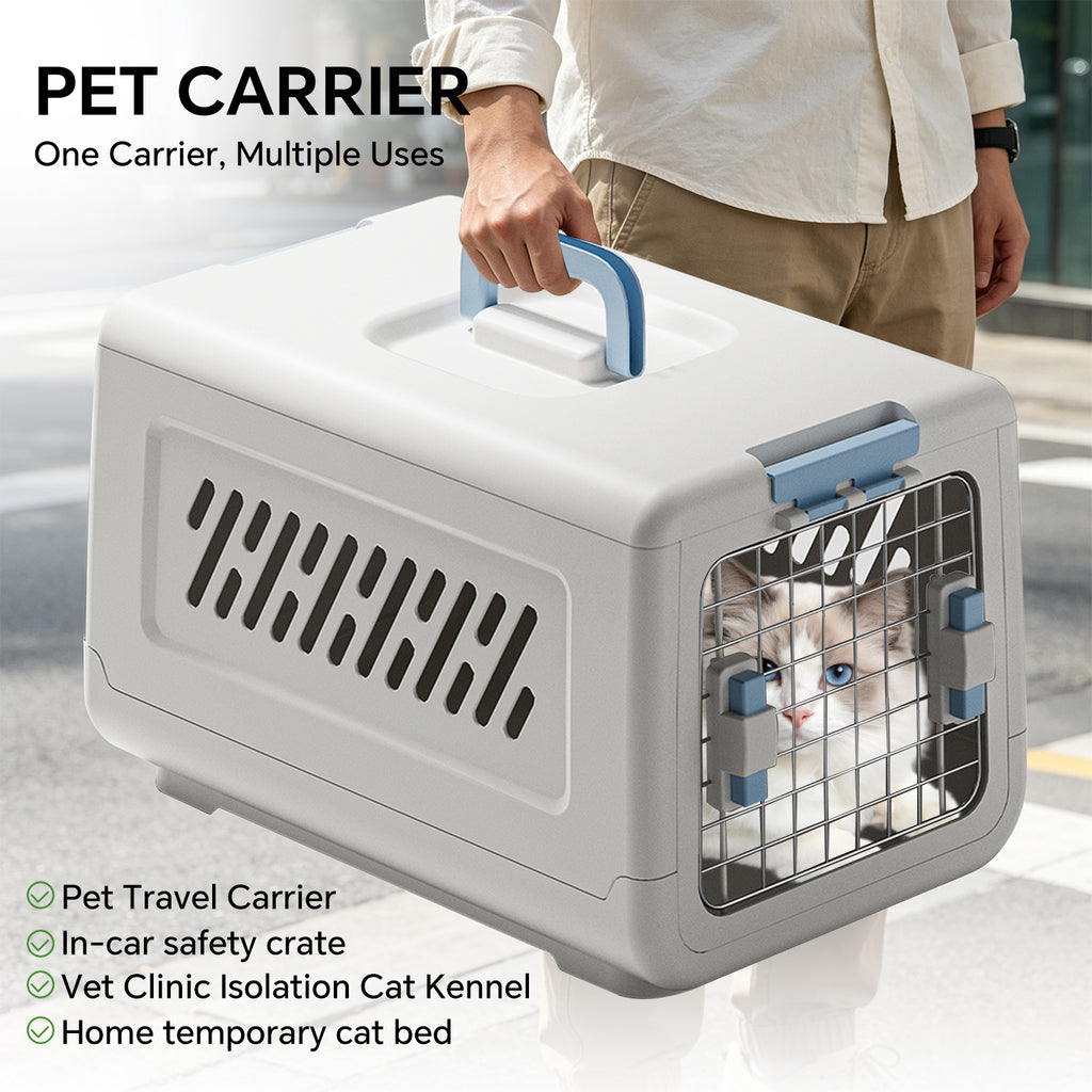 Small Hard Sided Pet Carrier, Portable Ventilated Travel Crate with Metal Door and Handle for Small Dogs and Cats, Perfect for Car Rides, Vet Visits and Daily Use