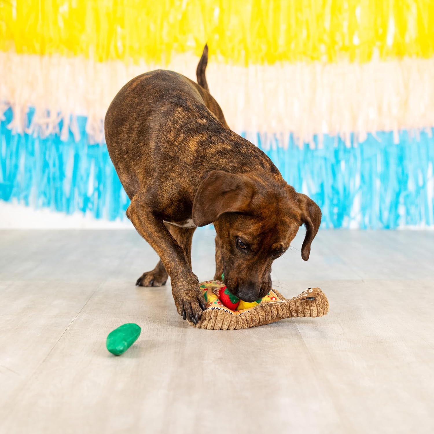 Fringe Studio Plush Dog Toy Set, Interactive Hide and Seek Play, Fiesta Till You Siesta, Pet Shop Collection (289226)