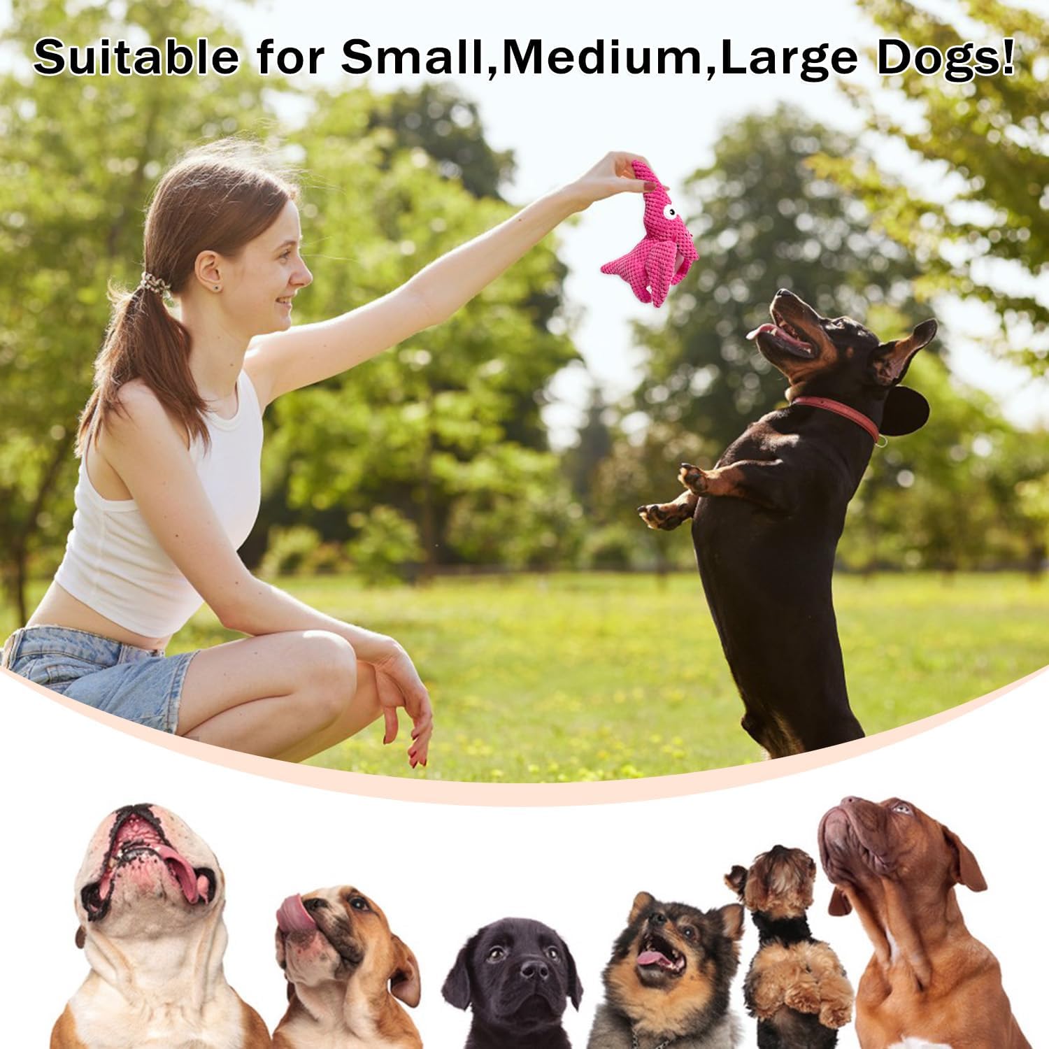 LWBMG Squeaky Dog Toys Plush Dog Toy with Crinkle Paper Dinosaur Dog Toy Stuffed Animals Chew Toy Plush Squeaky Dog Birthday Toys for Small Medium Large Dogs Pink
