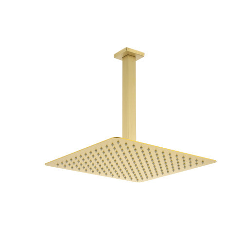 AEELLEEA 11.8 Inch Square Rain Shower Head with Ceiling Arm, Brushed Gold Overhead Rainfall Shower