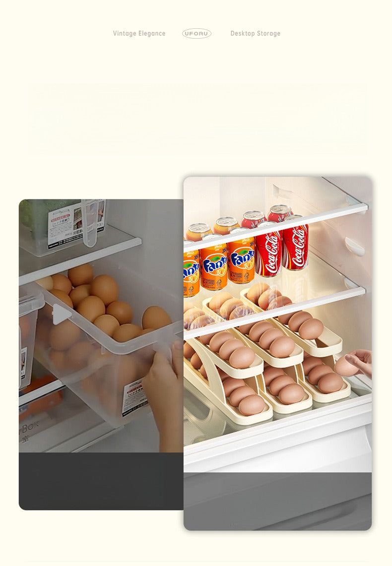 Rolling Egg Storage Container, Double Layer Sliding Egg Holder For Refrigerator Door, Auto Rolling Egg Organizer For Kitchen Fridge Side Door