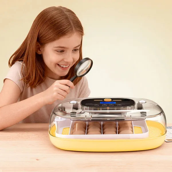 Aeelleea 24 Egg Incubator, 17.13×11.02×8.47 Inch Auto Turner with LED Candler, Temp Humidity Control for Chicken Duck Quail Eggs