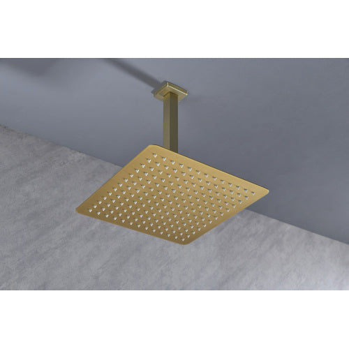 AEELLEEA 10 Inch Square Rain Shower Head with 7.9 Inch Ceiling Mount Arm, Brushed Gold Overhead Rainfall Shower for Bathroom