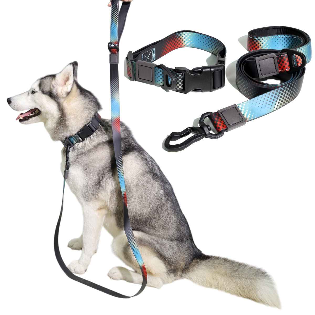 Printed Dog Collar and Leash Set, Adjustable Quick Release Buckle, Heavy Duty Matching Pet Walking Gear for Small Medium Large Dogs