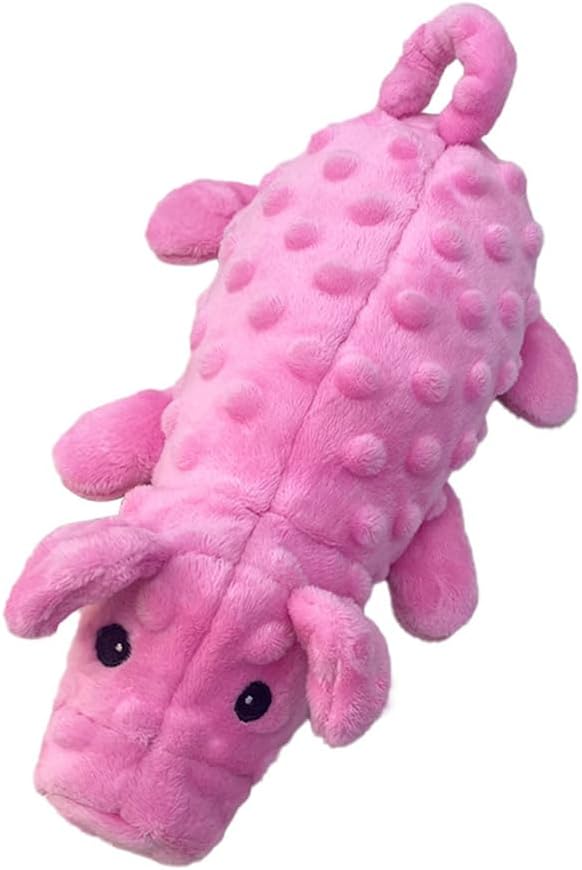 Squeaky Dog Toys Plush Dog Toy with Crinkle Paper Stuffed Durable Dog Chew Toys