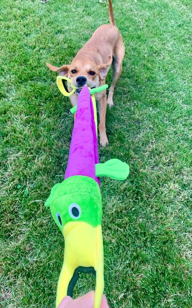 SmartPetLove Tender-Tuffs Platypus Tug Plush Dog Toy - Squeaky and Interactive Tug-of-War Dog Toy for Small to Large Dogs