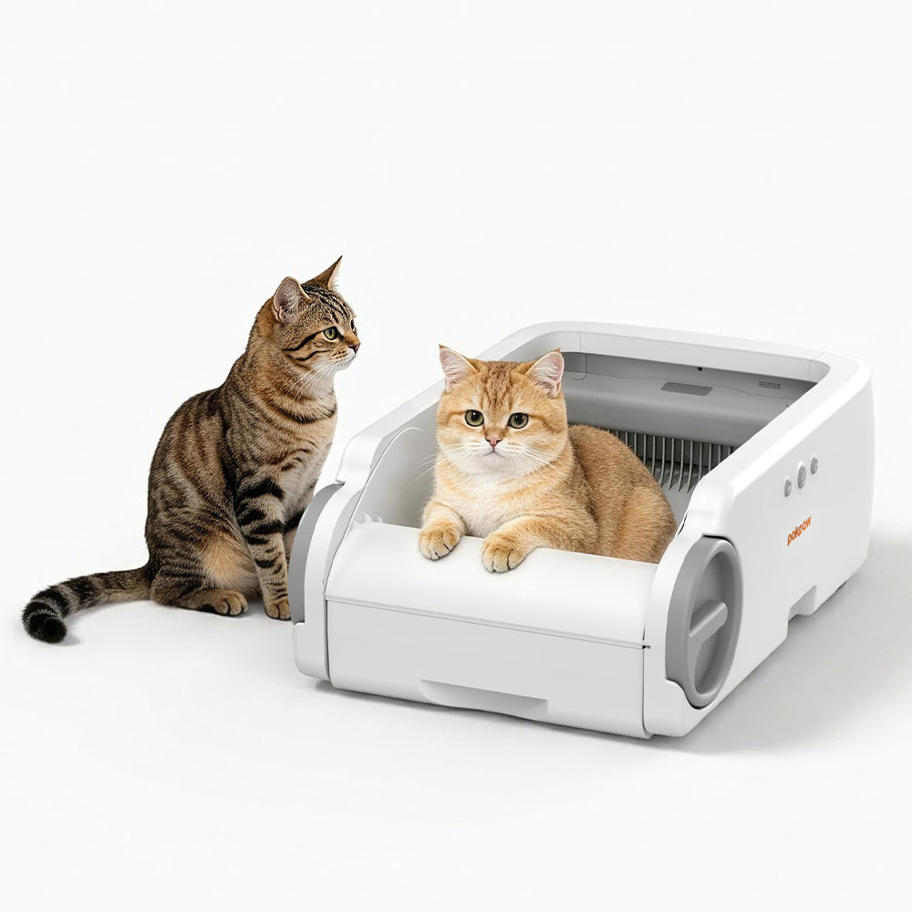 Aeelleea Smart Self-Cleaning Cat Litter Box App Control Low-Entry Quiet Multi-Cat Gray