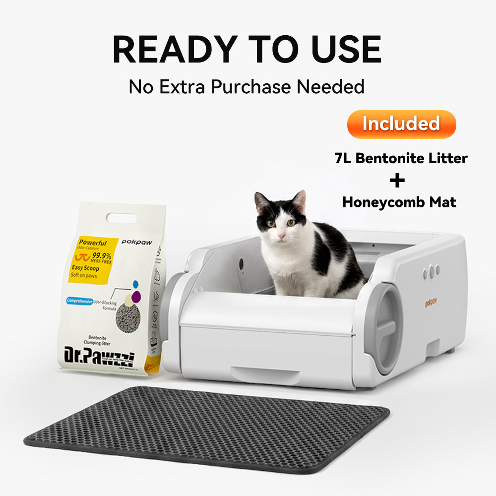 Aeelleea Smart Self-Cleaning Cat Litter Box App Control Low-Entry Quiet Multi-Cat Gray